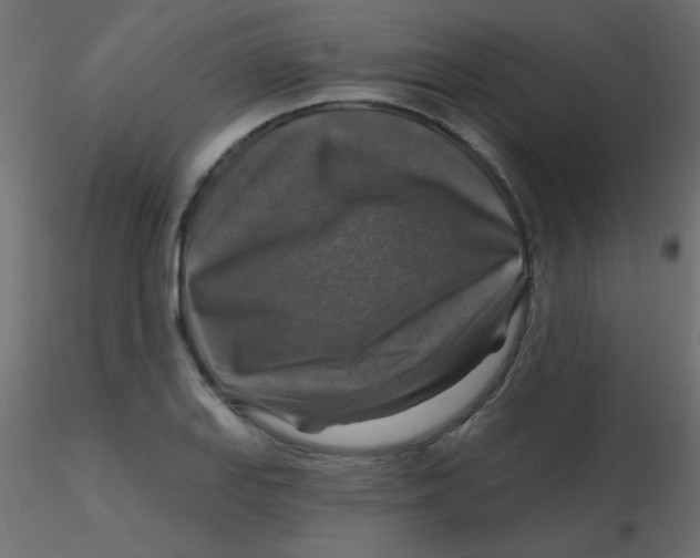 X0000116591127200912312030