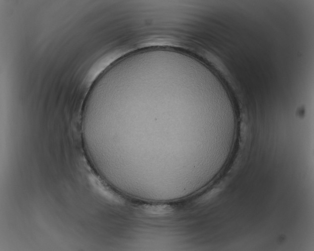 X0000116591129200912312030