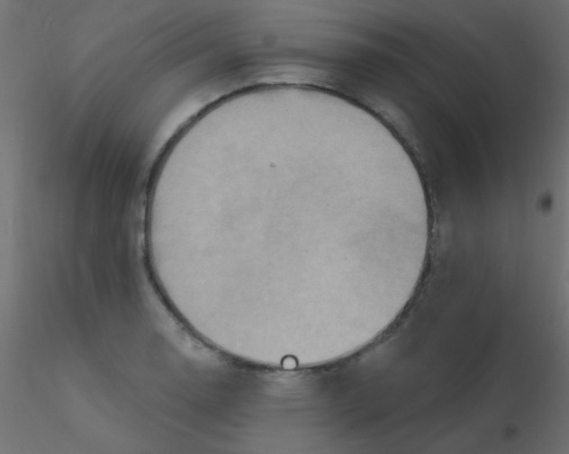 X0000116591130200912312030