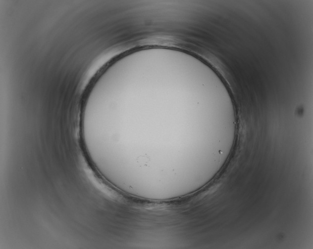 X0000116591131200912312030