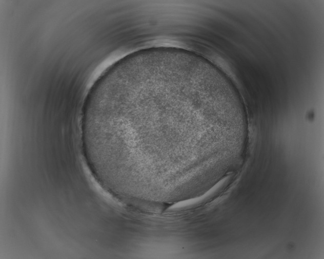 X0000116591133200912312030