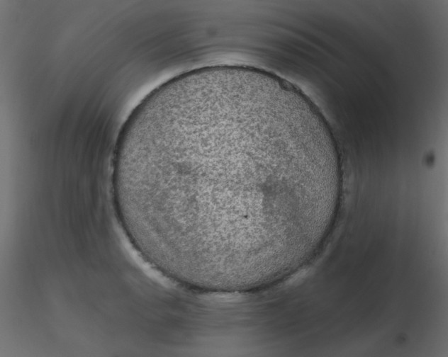 X0000116591134200912312030