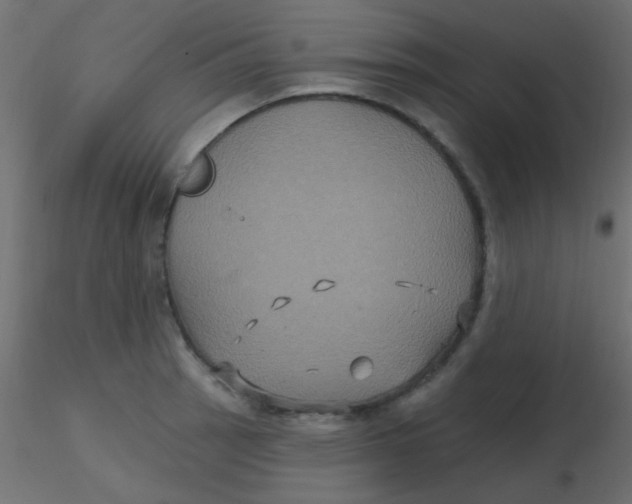 X0000116591137200912312030