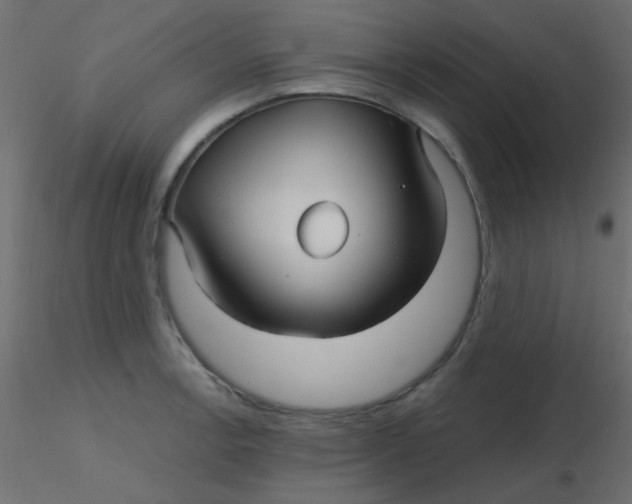 X0000116591138200912312030