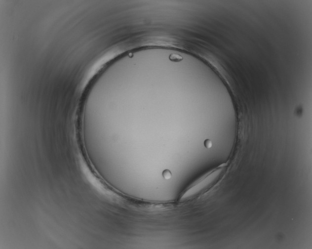 X0000116591139200912312030