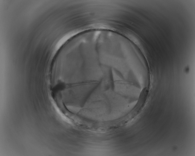 X0000116591141200912312030