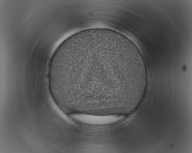 X0000116591142200912312030