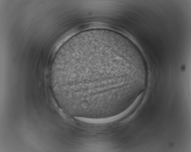 X0000116591145200912312031