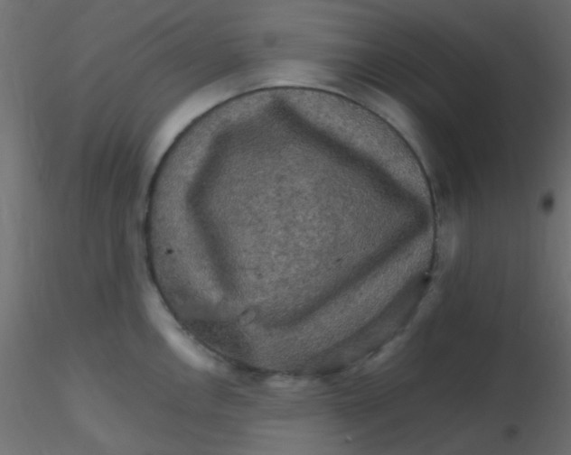 X0000116591146200912312031