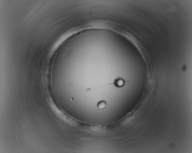 X0000116591147200912312031