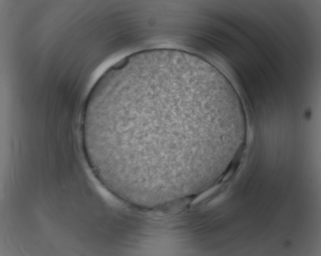 X0000116591149200912312031