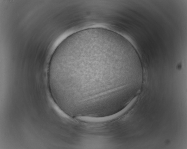 X0000116591151200912312031