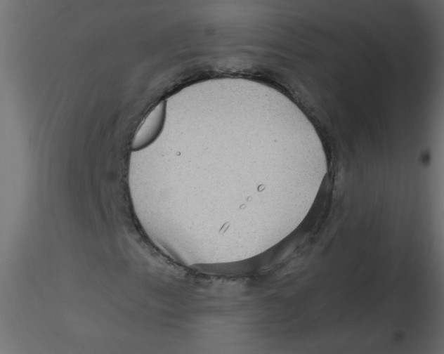 X0000116591153200912312030