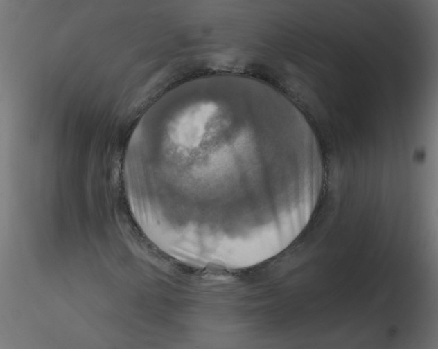 X0000116591154200912312030