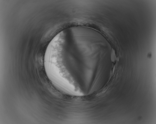 X0000116591155200912312030