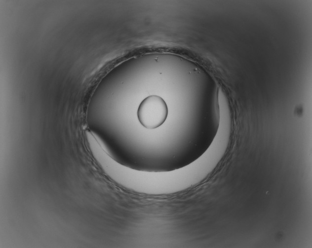 X0000116591157200912312030