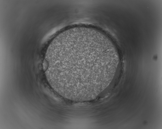 X0000116591159200912312030