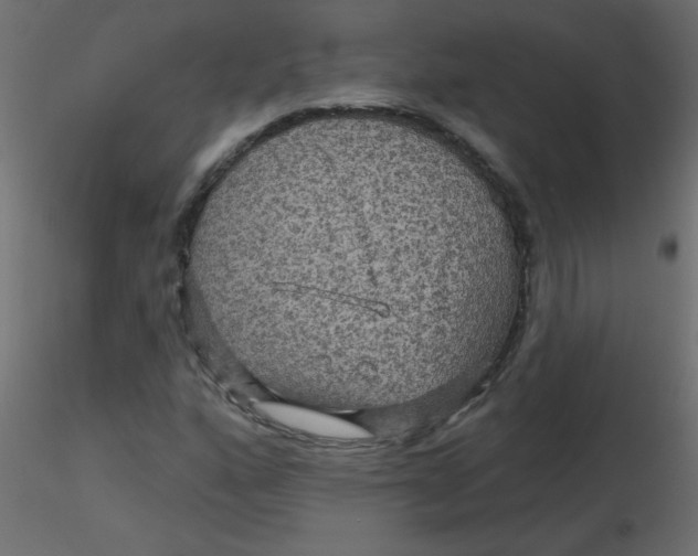 X0000116591160200912312030