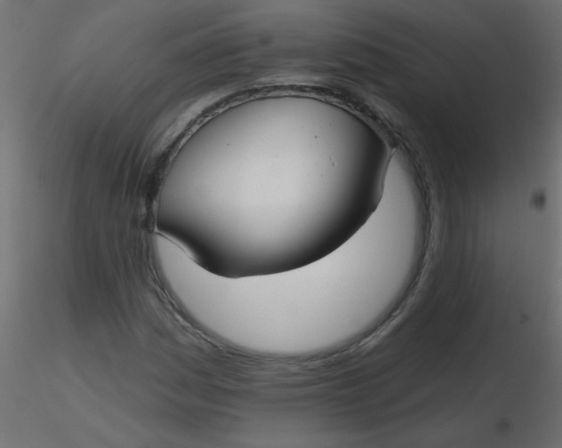 X0000116591161200912312030