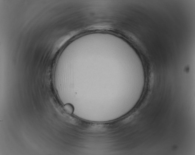 X0000116591162200912312030