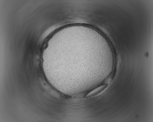 X0000116591163200912312030