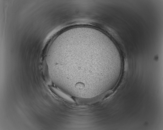 X0000116591164200912312030