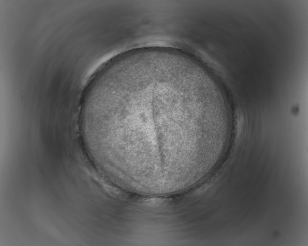 X0000116591166200912312030