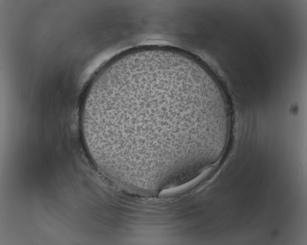 X0000116591167200912312030