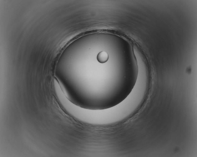 X0000116591169200912312030