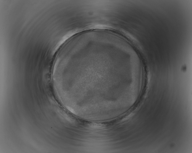 X0000116591170200912312030