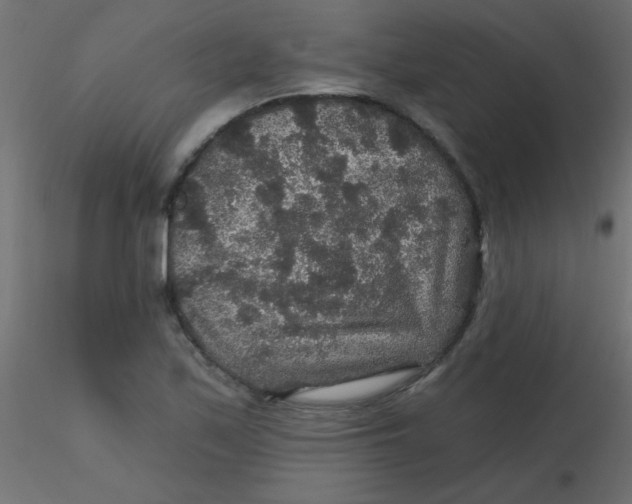 X0000116591171200912312030