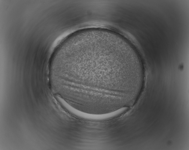 X0000116591172200912312030