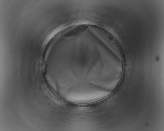 X0000116591173200912312030