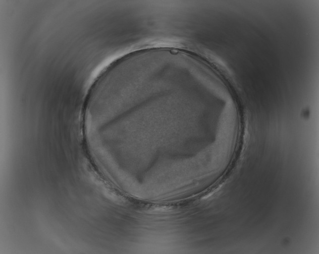 X0000116591174200912312030