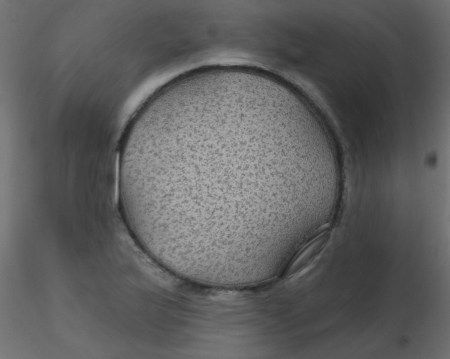 X0000116591175200912312030