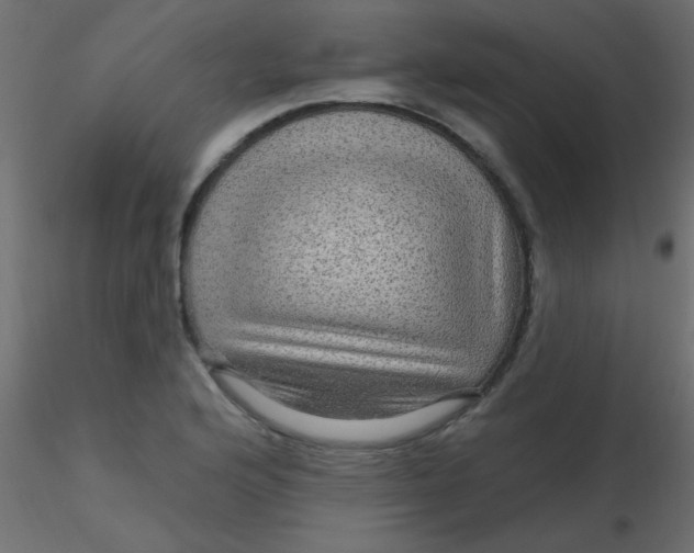 X0000116591176200912312030