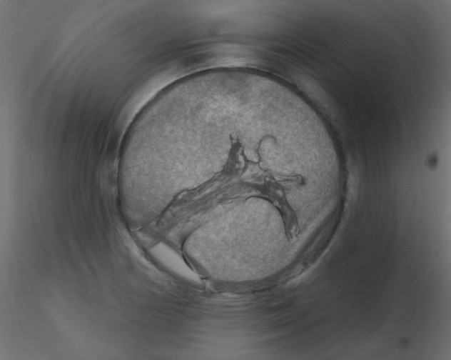 X0000116591178200912312030