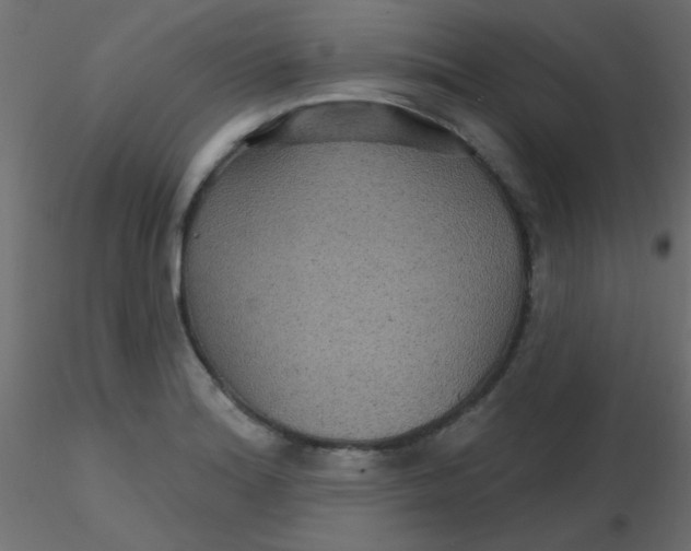 X0000116591180200912312030