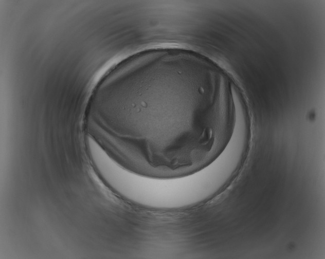 X0000116591181200912312030