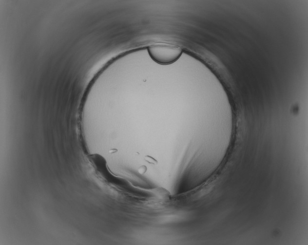 X0000116591182200912312030