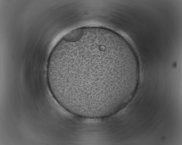 X0000116591183200912312030