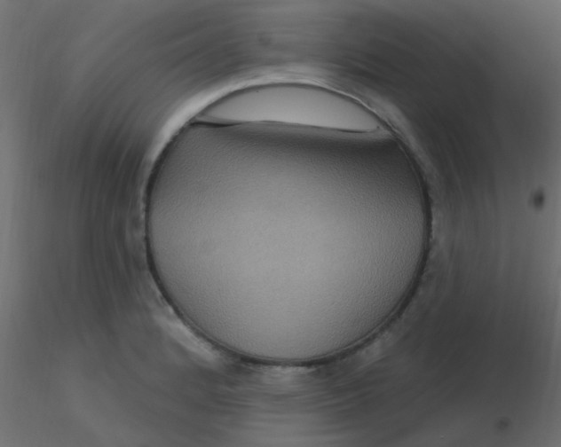 X0000116591184200912312030