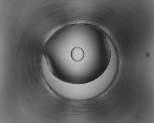 X0000116591185200912312030