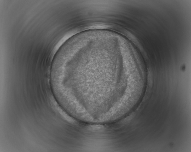 X0000116591186200912312030