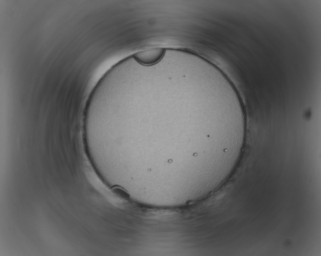 X0000116591187200912312030