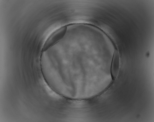 X0000116591189200912312029