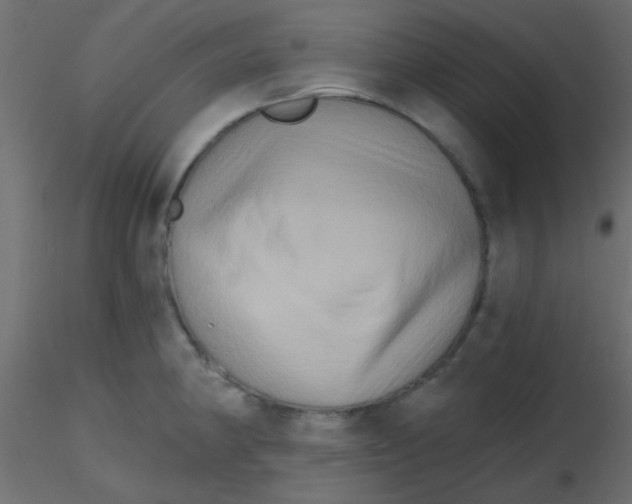 X0000116591190200912312029