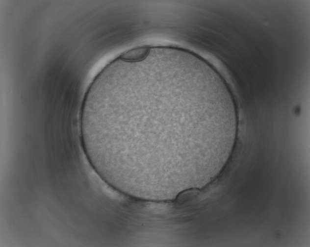 X0000116591191200912312029