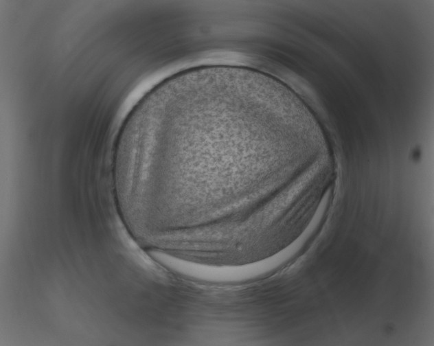 X0000116591192200912312029