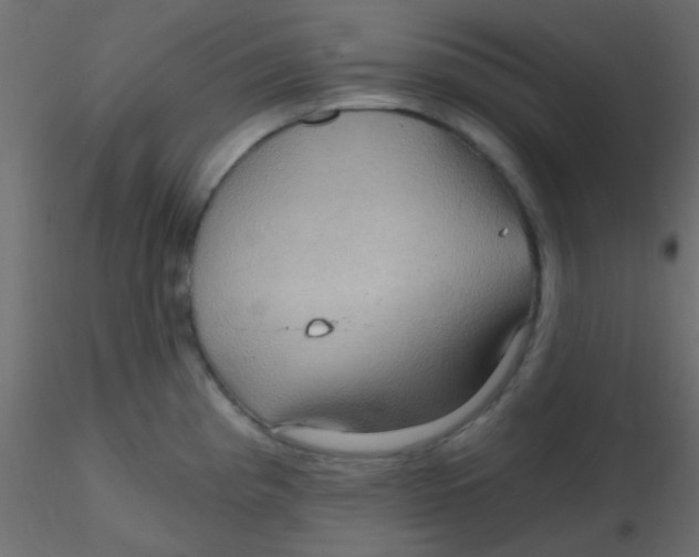 X0000116591193200912312029